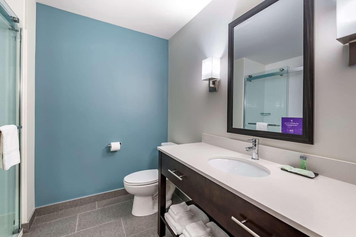 standard room, 1 king bed, non smoking | premium bedding, down duvets, pillow-top beds, individually decorated