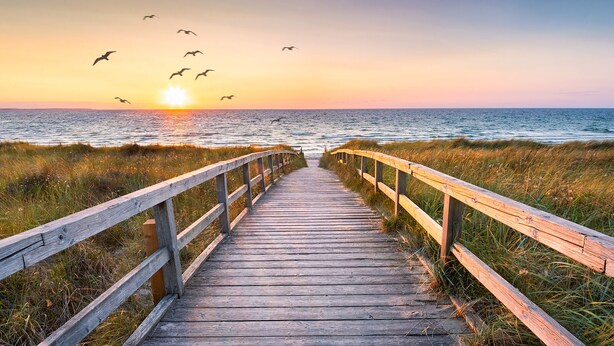A wooden boardwalk leading to the ocean with seagulls flying overhead. - Ocean view, Walkable to Everything in the heart of Carolina Beach (Carolina Beach)