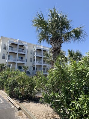 Exterior - Ocean view, Walkable to Everything in the heart of Carolina Beach (Carolina Beach)