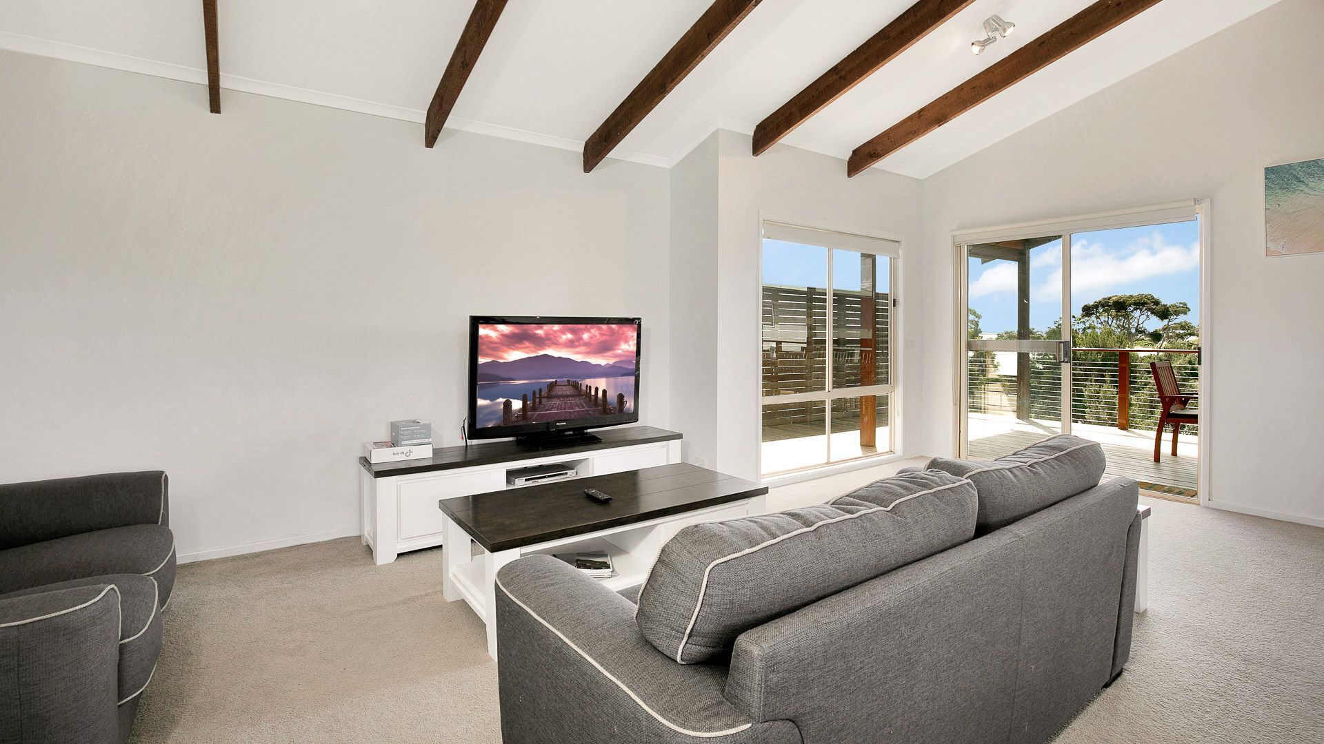 TV, DVD player, books, video library