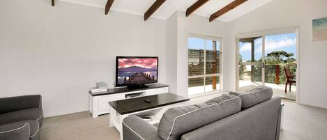 TV, DVD player, books, video library