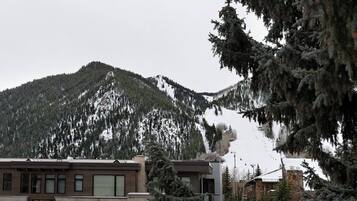 Condo (Concept 600 two bedroom) | Ski hill