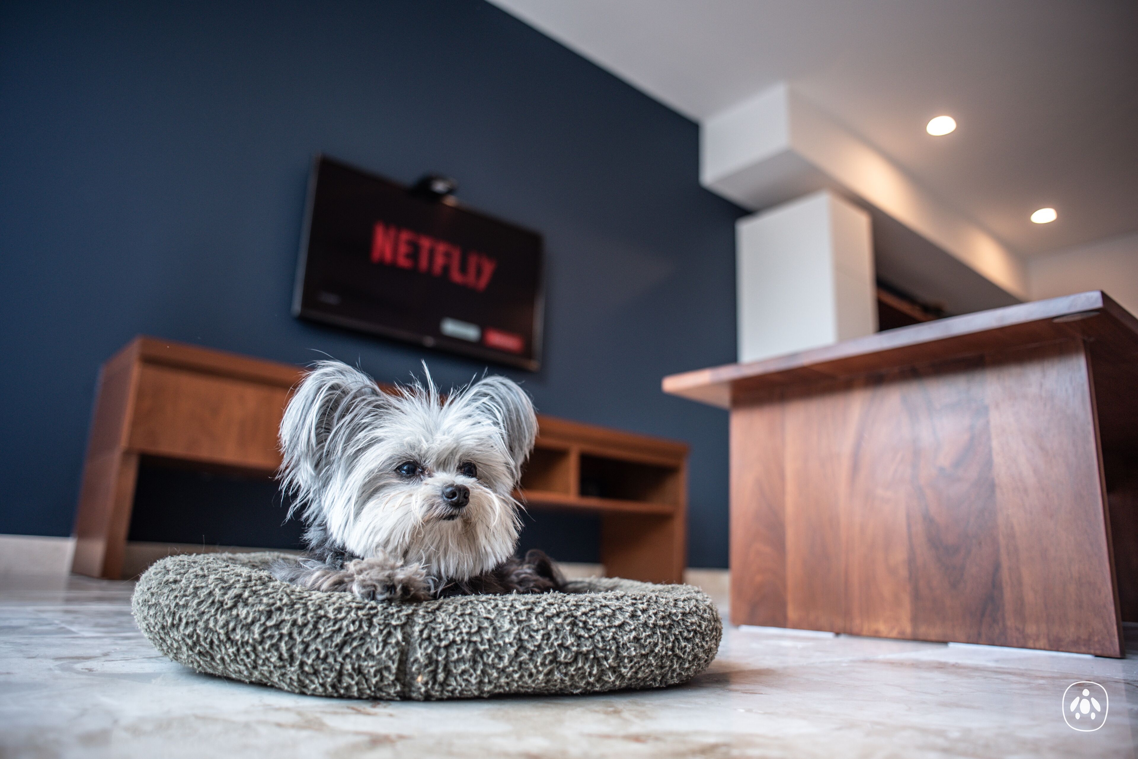 Photo - Anah La Quinta