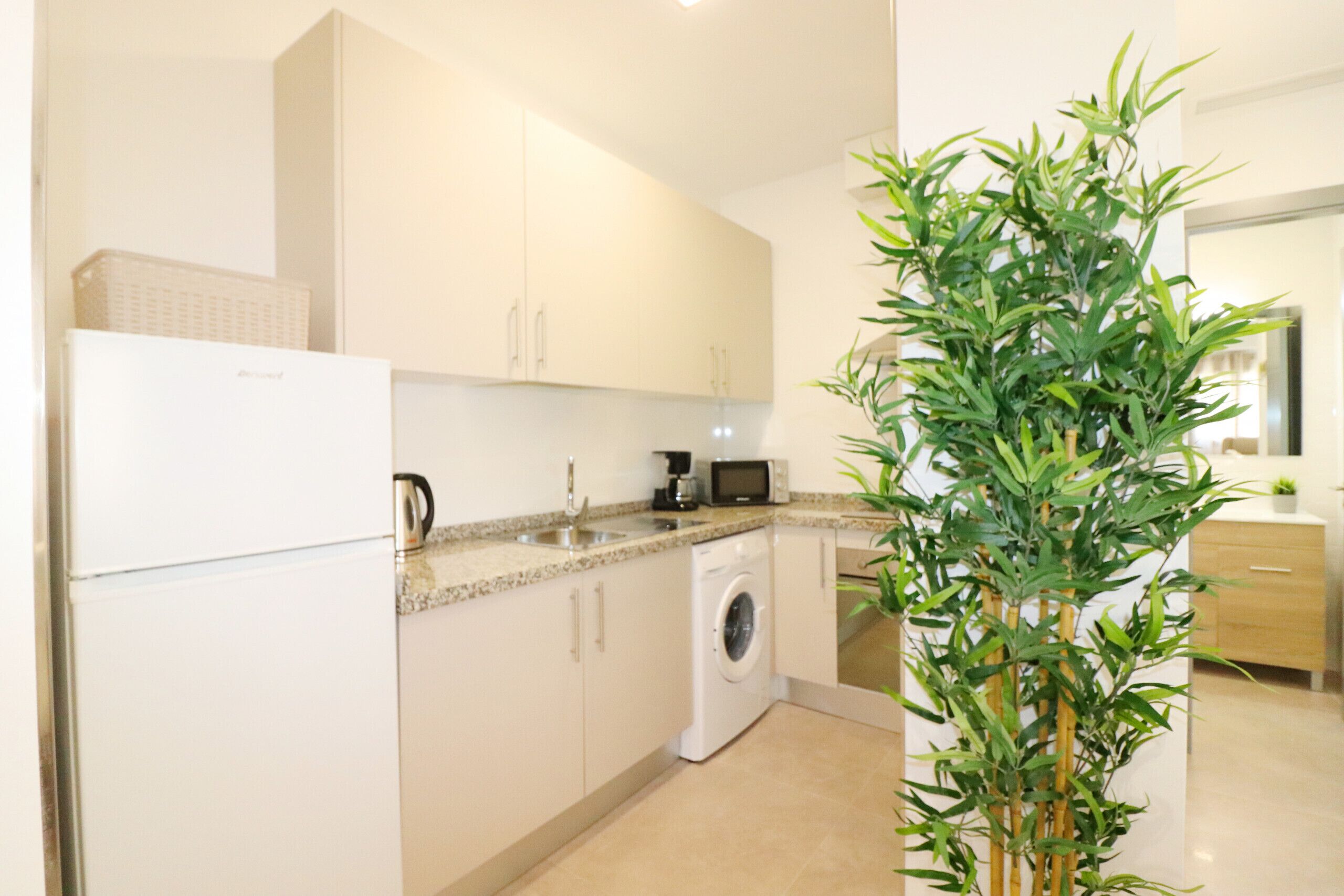 Fridge, microwave, oven, coffee/tea maker