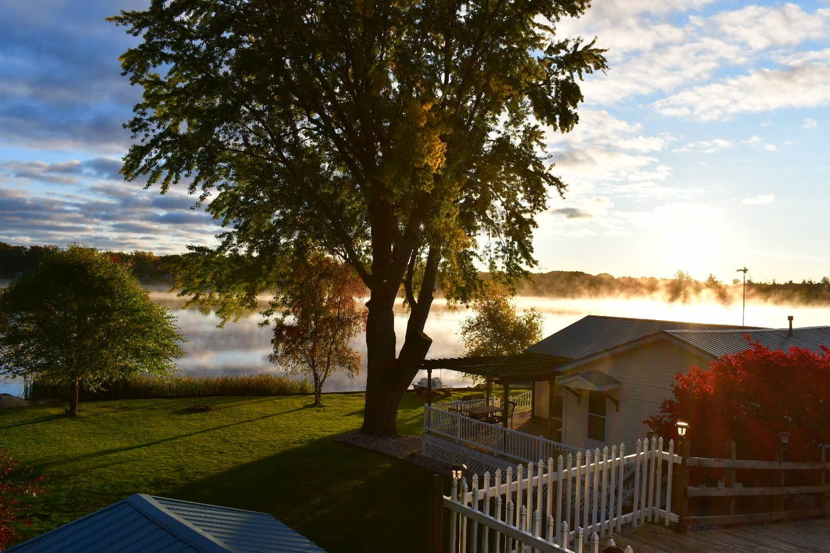Fall Morning Fog