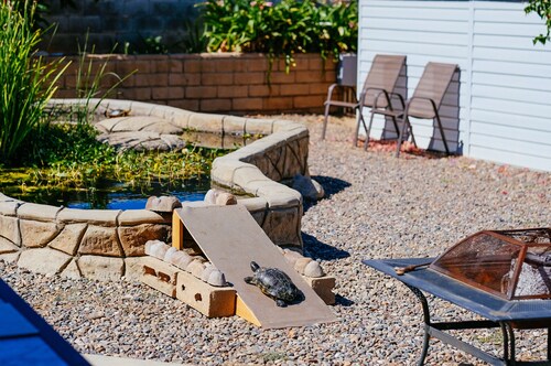 Turtle-themed tiny house with a turtle pond, hot tub, e-bikes, and EV charging
