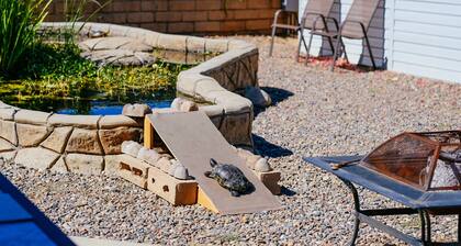 Turtle-themed tiny house with a turtle pond, hot tub, e-bikes, and EV charging
