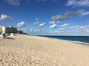 ビーチの近く、サンラウンジャー、ビーチタオル