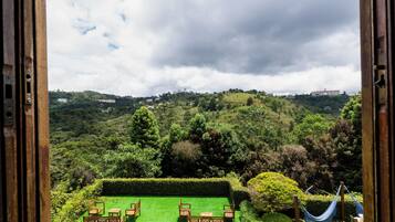 Family Room | View from room