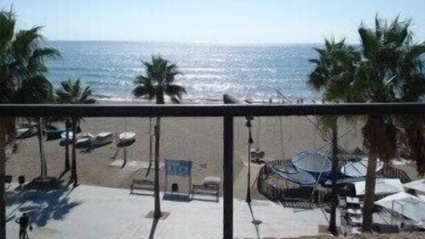 Vista de una playa con palmeras, un estacionamiento y un edificio al frente.