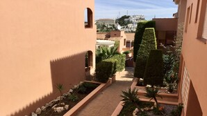 Un estrecho patio con un sendero adoquinado, rodeado de setos bien cuidados y pequeñas plantas.