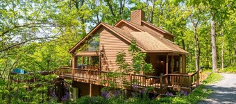 Misty Mountain Cabin w/spa