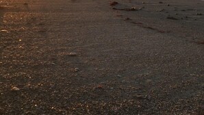 Kirkkaan taivaan alla oleva ranta auringonlaskun aikaan.