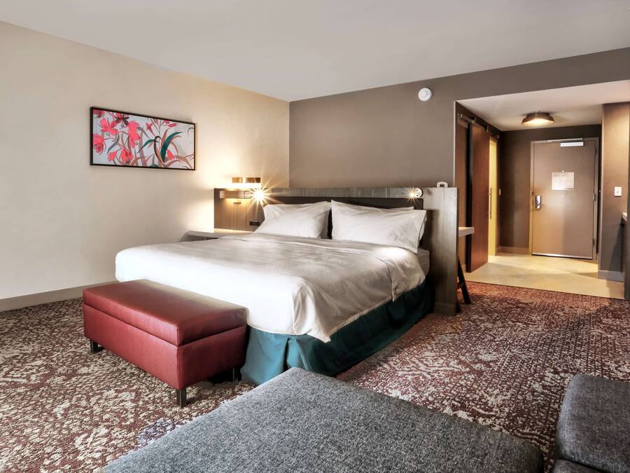 Habitación de hotel con una cama grande, un banco rojo, un sillón gris, una alfombra estampada y un cuadro en la pared.