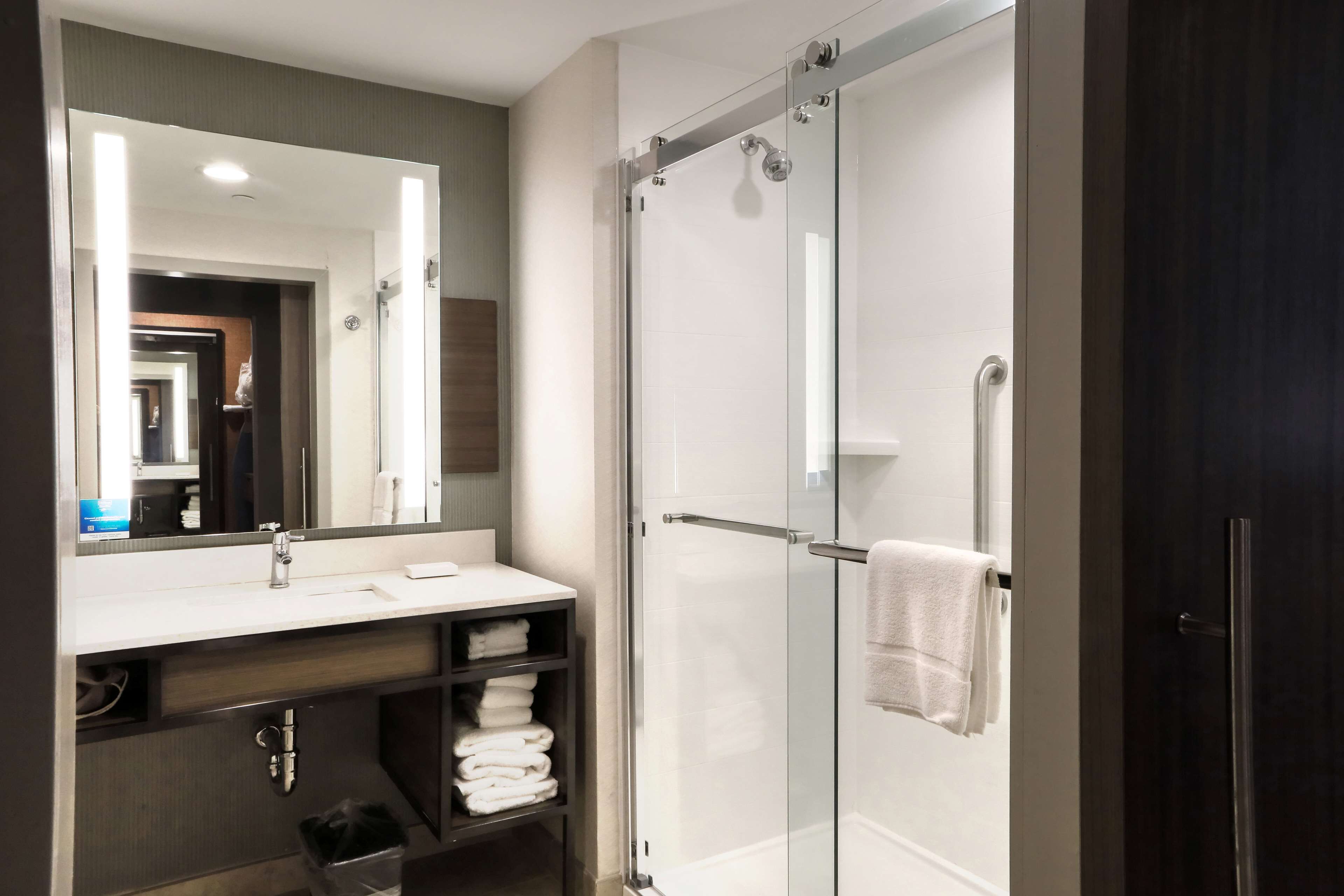 deluxe room, 1 king bed, accessible | bathroom shower