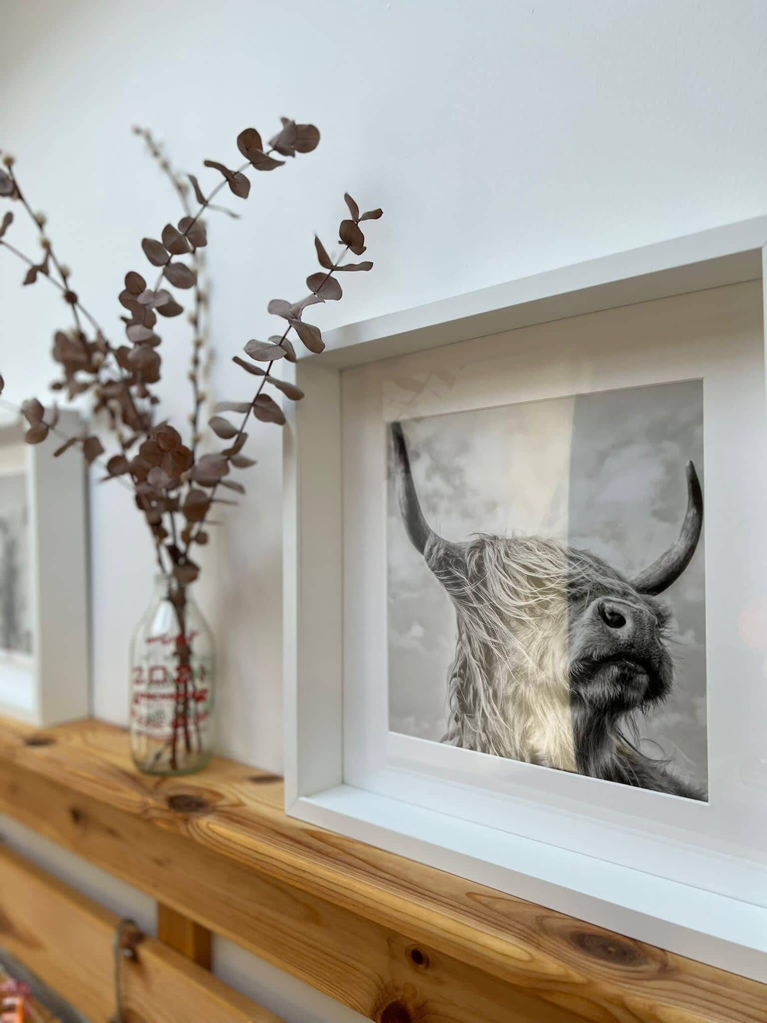 A framed artwork of a bull's head on a wall.