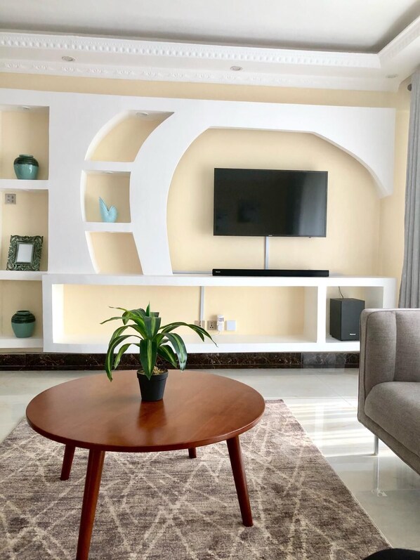 TV - Great apartment -Luxury Finishing's & Furnishings (Nairobi)