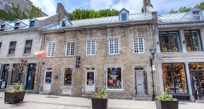 Maison des Patriotes 7 bedrooms 8-20 guests in the ❤ of old Montréal