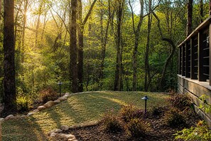 A forested area with a stone pathway leading to a building with a modern design.