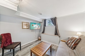 Smart TV, DVD player, books, video library