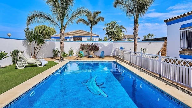 Une piscine rectangulaire décorée d’un motif de dauphin, entourée de palmiers et d’une clôture blanche.