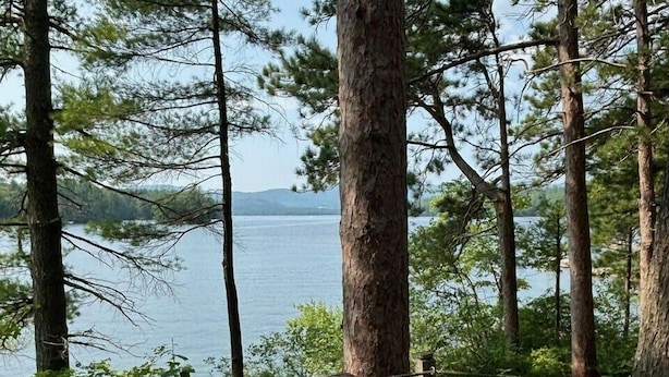A wooden picnic table on a deck overlooking a lake, surrounded by tall trees.