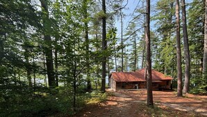 A cabin in a forest with a dirt path leading to it.
