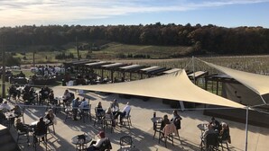 An outdoor seating area with tables and chairs, surrounded by a vineyard and trees. - Jim Thorpe minutes away! Cozy Cabin, Peace & Quiet in Private Lake Community! (Jim Thorpe)