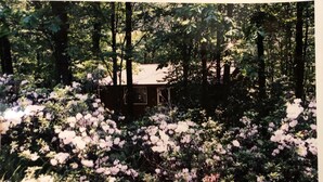 A cabin surrounded by dense foliage and flowering plants. - Jim Thorpe minutes away! Cozy Cabin, Peace & Quiet in Private Lake Community! (Jim Thorpe)