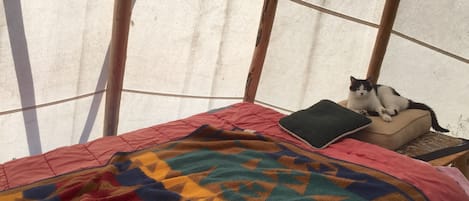 1 habitación