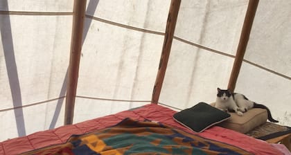 Bird Lodge Tipi's at Stepping Stone