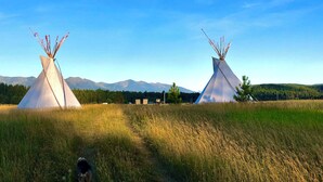 Two tipi-style tents in a grassy field with mountains in the background. - Bird Lodge Tipi at Stepping Stone (Bigfork)