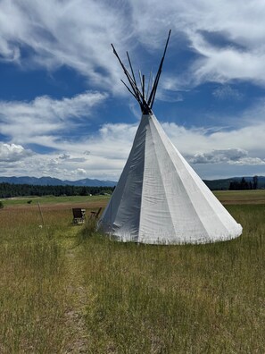 A tipi in a grassy field with a clear sky. - Bird Lodge Tipi at Stepping Stone (Bigfork)