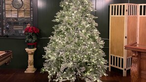 A Christmas tree in a room with dark wooden walls and a window with a stained glass design. - Rest & Reignite at The Pulpit House -see video-KING BED - Whole Building PRIVATE (Hagaman)