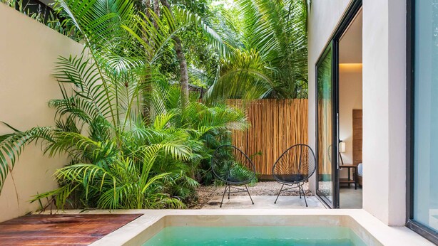 A modern outdoor pool area with a wooden deck, surrounded by lush tropical plants and a bamboo fence. - Apartment With Private Plunge Pool - Ground Floor by Sessile (Tulum)
