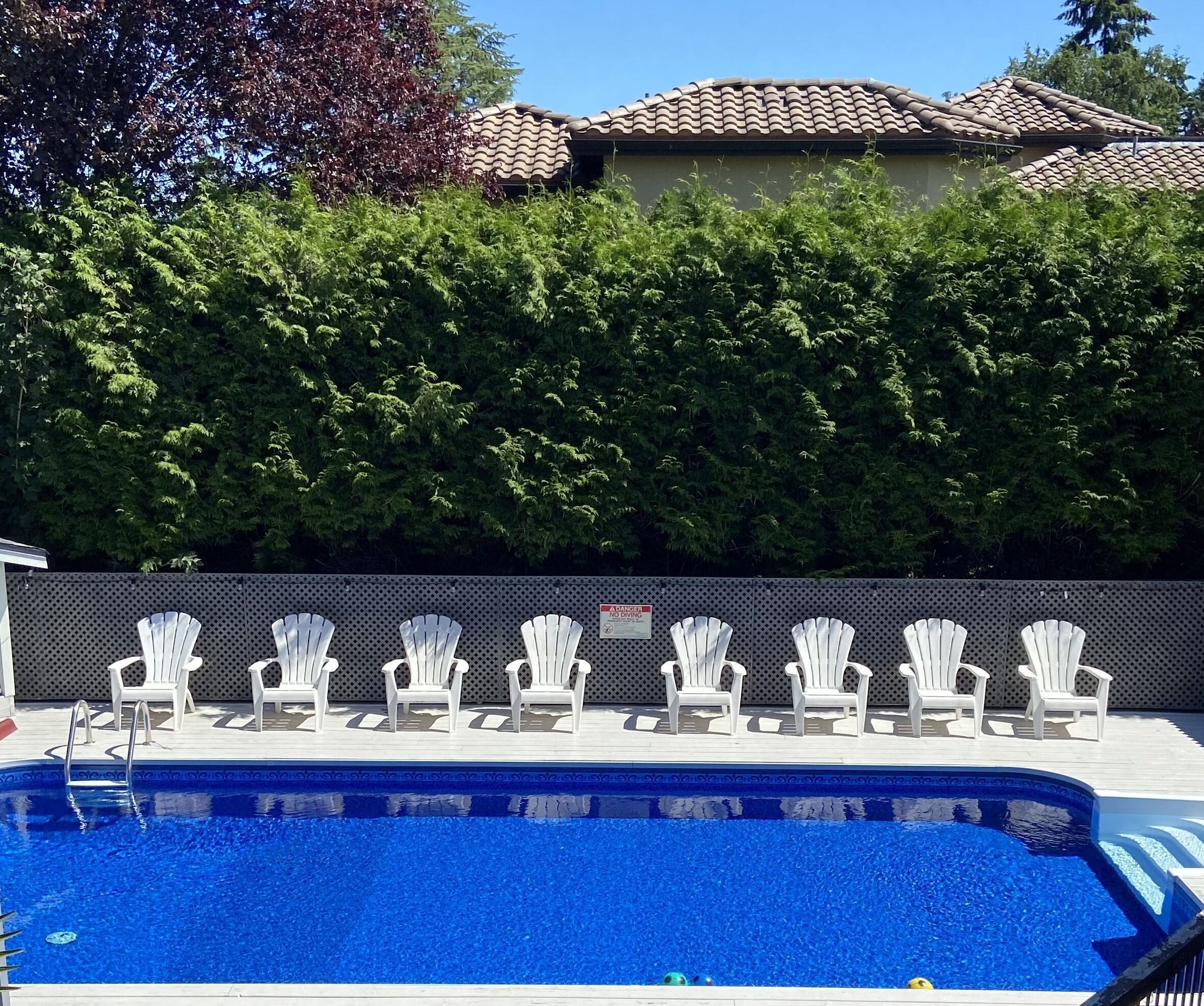 Una piscina con sedie bianche disposte lungo il bordo.