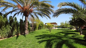 Un jardin bien entretenu, agrémenté de palmiers, d’une pergola et d’un ciel dégagé.