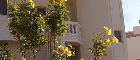 Details aan de buitenkant