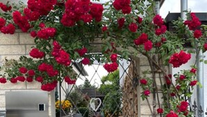 A stone building with a metal gate, a small dog on the steps, and a heart-shaped decoration. - Apartment "Zur Imme" with Mountain View, Wi-Fi and Air Conditioning (Lindau)