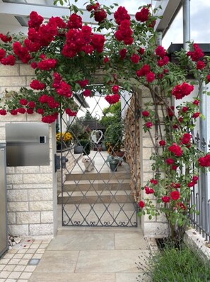 Details aan de buitenkant