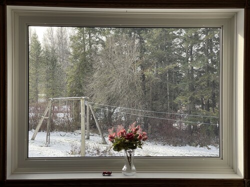 Country Comfort with 8 Acre Private Garden