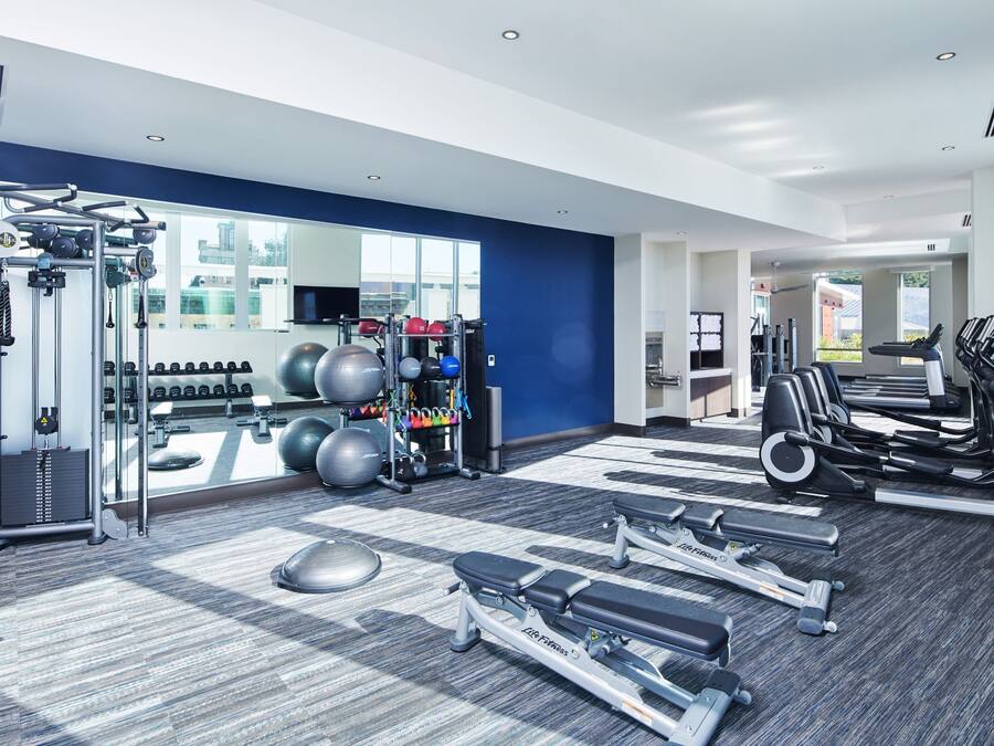A modern gym with cardio equipment, weight machines, and free weights.
