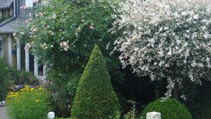 A well-maintained garden with various shrubs and flowering plants, a neatly trimmed hedge, and a stone pathway leading to a house with a grey roof. - Tara, guest studio in the countryside with kitchenette (Saint Sylvestre de Cormeilles)