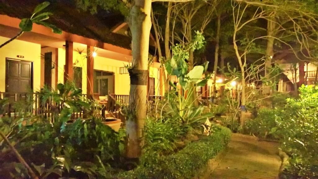A well-lit outdoor area with a pathway leading to a building entrance, surrounded by lush greenery and trees.