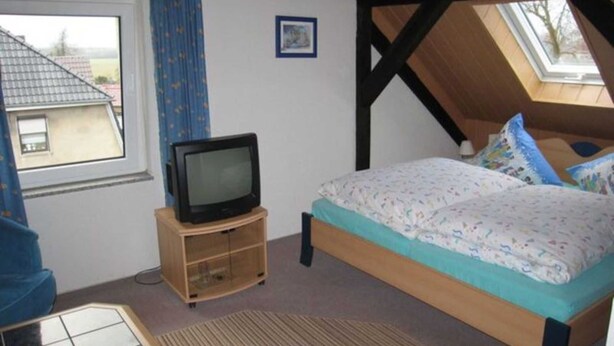 Une chambre à coucher avec un lit, un téléviseur posé sur un meuble en bois, une fenêtre et un puits de lumière.