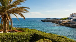 Blick auf die Küste mit einer Palme, klarem blauen Meer, felsigem Ufer und einem weißen Gebäude mit Balkon.