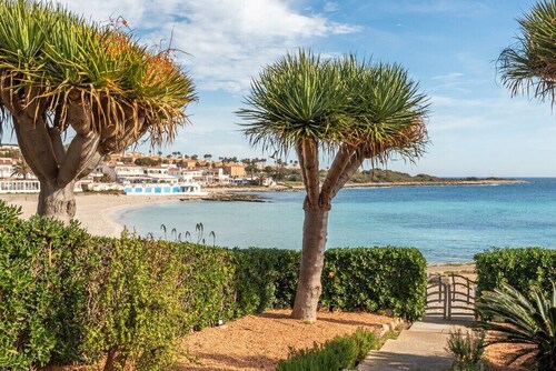 Ca l'Avi i s'Avia - Playa de Punta Prima