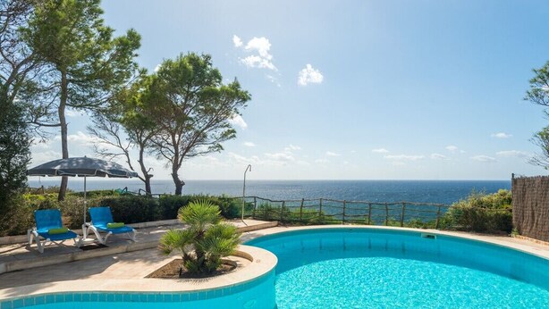 Une piscine à bordures courbes, entourée de chaises longues bleues et d’un petit palmier.