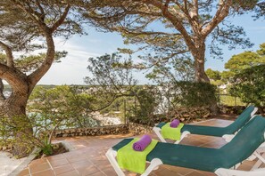 Terrain de l’hébergement 