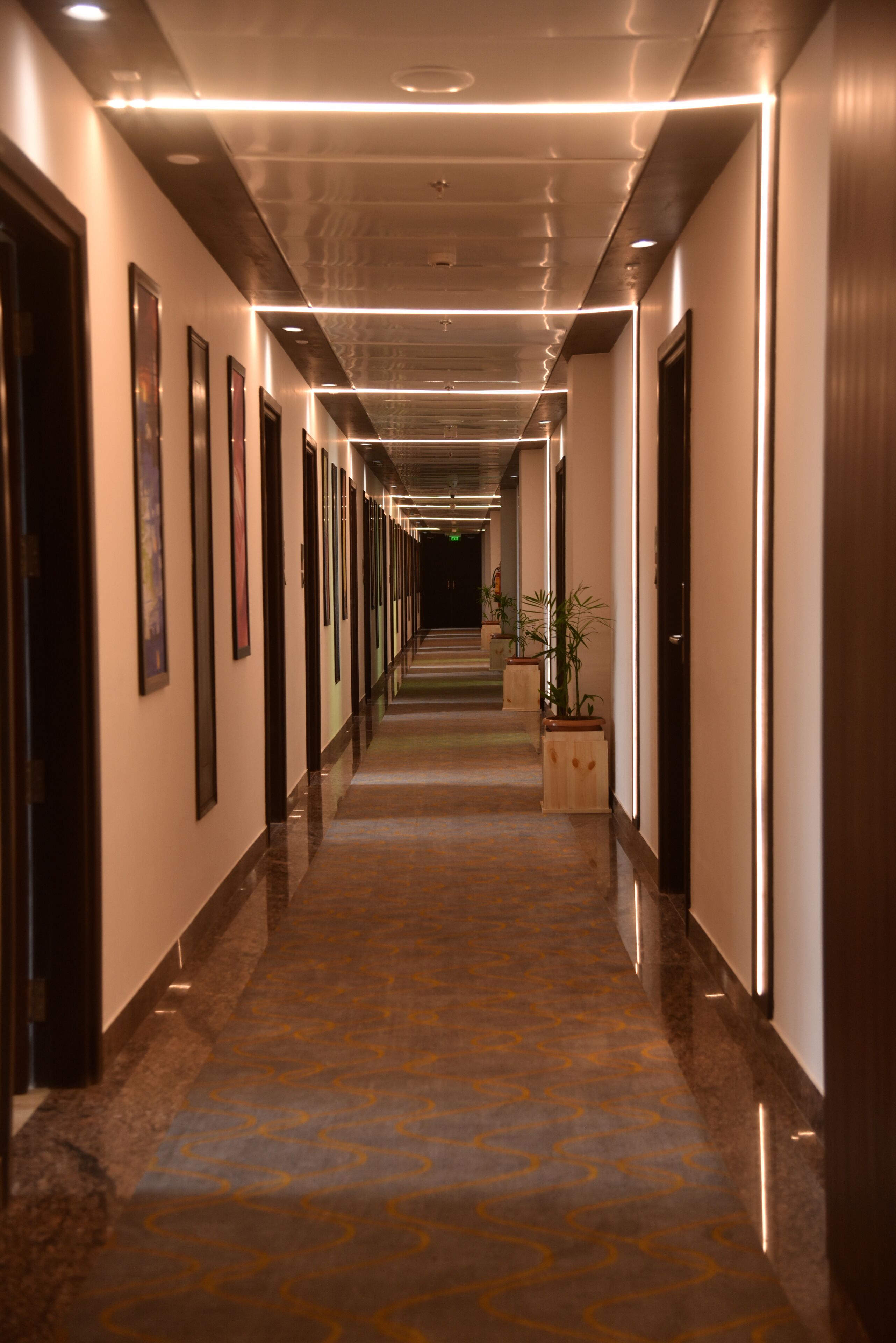 A long, well-lit hallway with framed pictures on the walls, a patterned carpet, and potted plants.